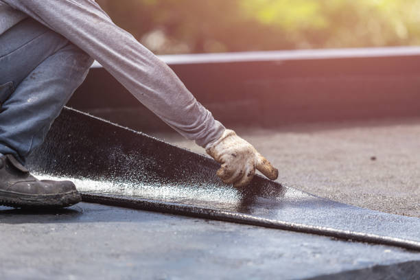 Professional Interior Drainage System technician working in Denton, MD